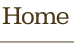 Home Button